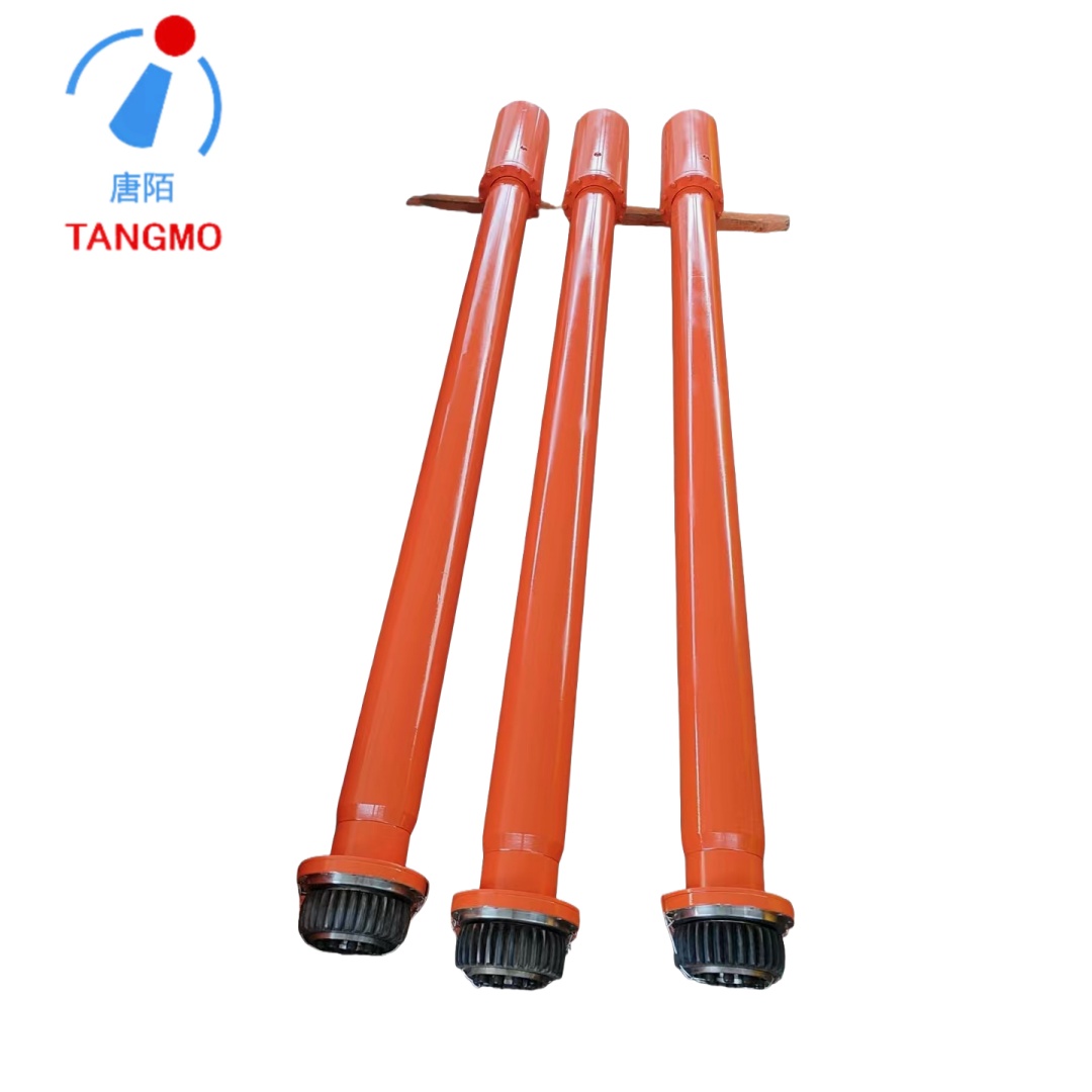 Husillo de engranaje