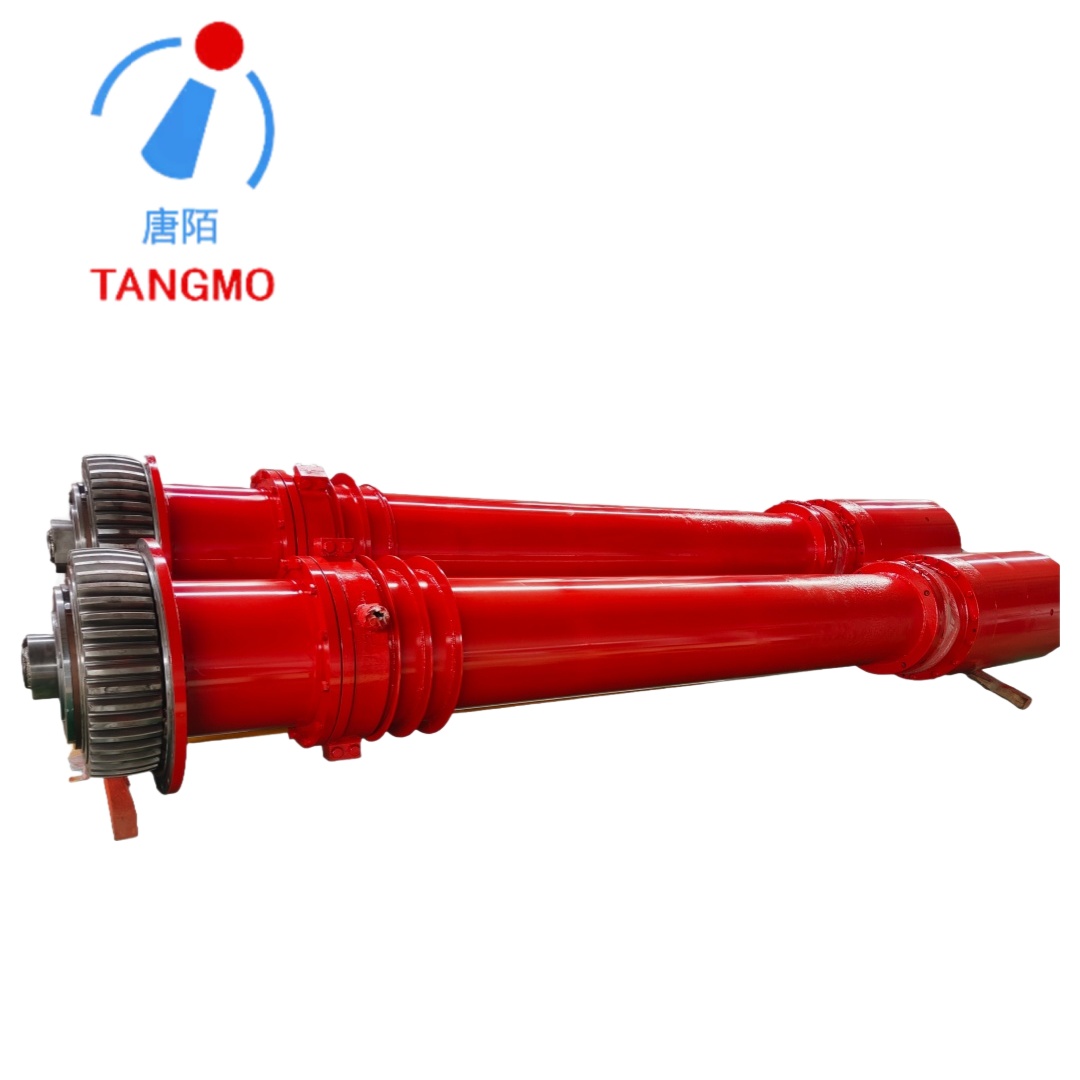 Husillo de engranaje